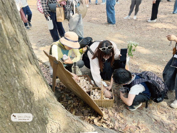 幸福優木-木作設計館-Yomu Design-優木-優木設計-灰熊綠展-10週年-寧靜海-台南木作-木作體驗-親子DIY-外出教學-質感木工-美感教育-魟魚-鯨魚-海洋系-花園鰻-苗栗通霄-通霄海水浴場-七田皿-小皿-木工教學-木作訂製-木偶-木雕-兒童木作--創作者-台南左鎮-化石森林-線香座-木質線香座-