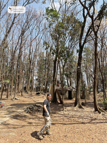 幸福優木-木作設計館-Yomu Design-優木-優木設計-灰熊綠展-10週年-寧靜海-台南木作-木作體驗-親子DIY-外出教學-質感木工-美感教育-魟魚-鯨魚-海洋系-花園鰻-苗栗通霄-通霄海水浴場-七田皿-小皿-木工教學-木作訂製-木偶-木雕-兒童木作--創作者-台南左鎮-化石森林-線香座-木質線香座-